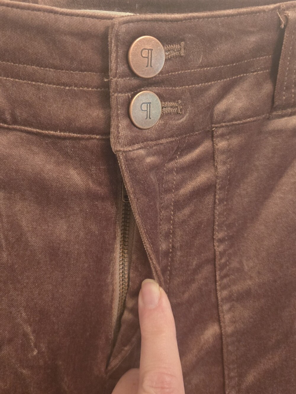 Pilcro The Wanderer Brown Velvet Beaded Stars Pants NWT Size 27 - Picture 5 of 12